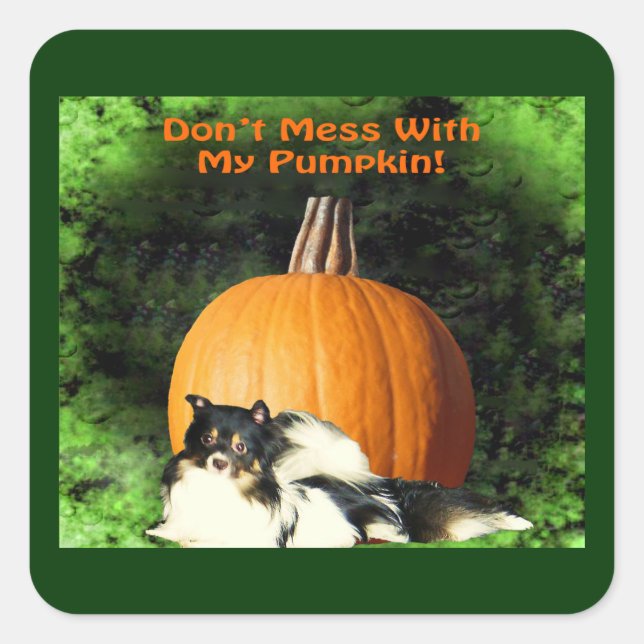 Dog Protecting Large Pumpkin Halloween Square Sticker (Front)