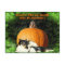 Dog Protecting Large Pumpkin