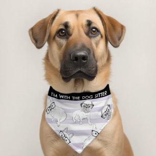 Dog Pug I'm with the dog sitter Pet Bandana Collar