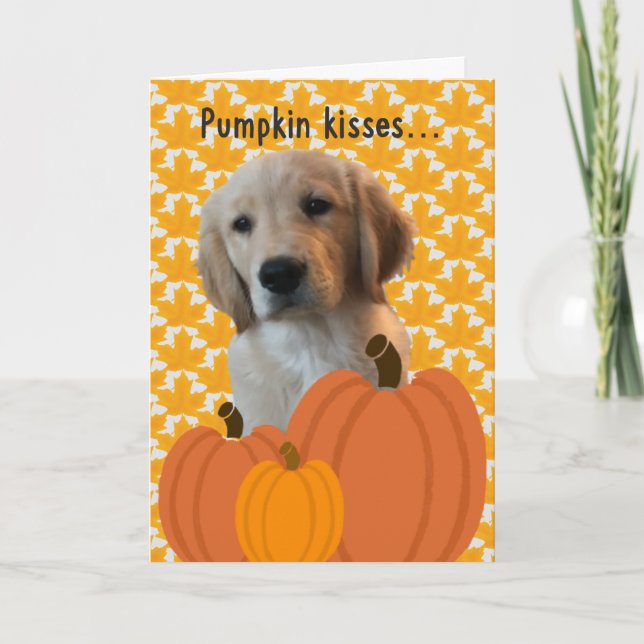 Dog Pumpkin Kisses Thanksgiving Card (Front)