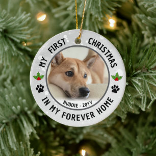 Dog Puppies Cat Pet Photo First Christmas Keepsake Ceramic Ornament