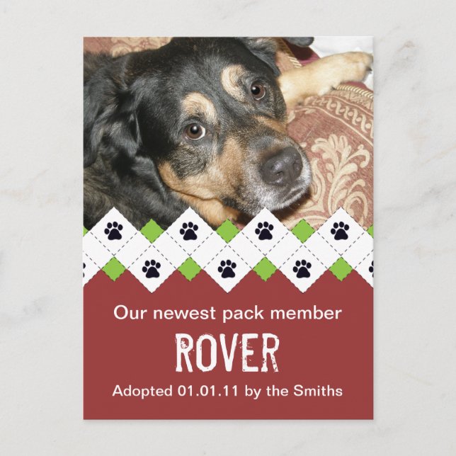 Dog/Puppy Adoption Announcement Postcard (Front)