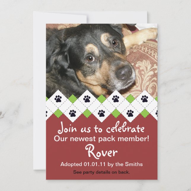 Dog/Puppy Adoption Party Announcement (Front)