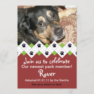 Dog/Puppy Adoption Party Announcement