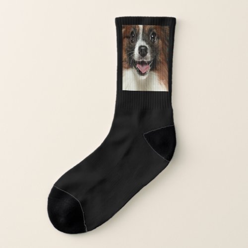 Dog Puppy Animal Canine Woof Mouth Face Happy Cute Socks