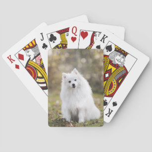 Dog Puppy Canine White Dog Fur Poker Cards