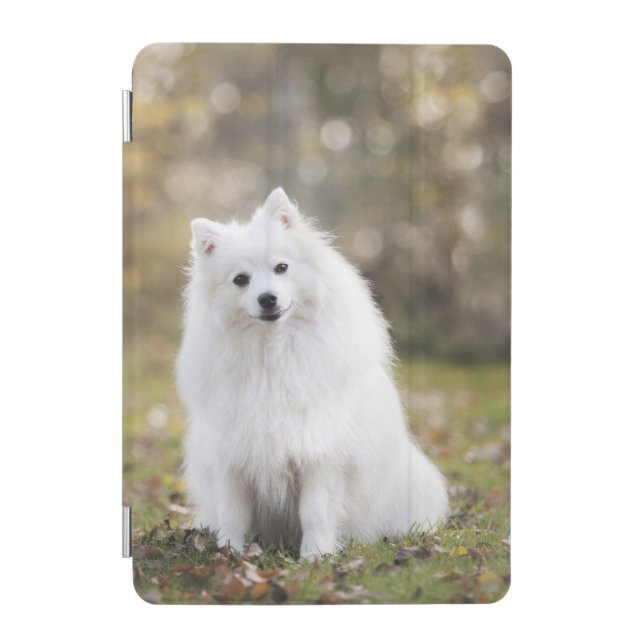 Dog Puppy Canine White Dog  iPad Mini Cover (Front)