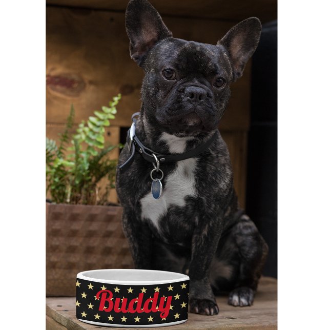 Dog Puppy Cat Kitty Pet Name Black Gold Stars Food Bowl (Dog Puppy Cat Kitty Pet Name Black Gold Stars Food Bowl)