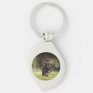 Dog, Puppy, Cavalier Keychain