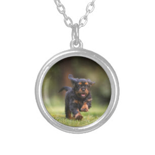 Dog, Puppy, Cavalier Silver Plated Necklace