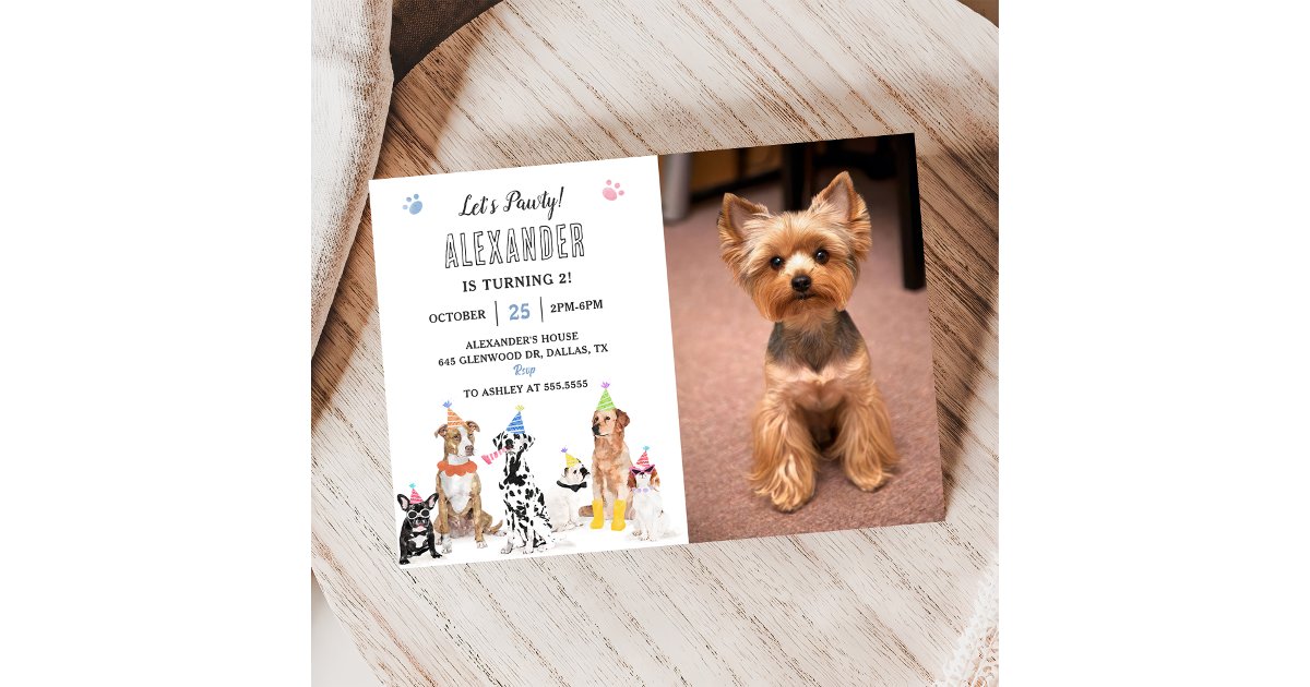 Dog Puppy Let's Pawty Birthday Party Photo Invitation | Zazzle
