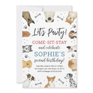 Dog Puppy Pet Pawty Birthday Party Invitation