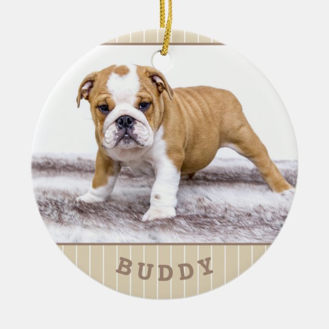 Dog Puppy Pet Photo Beige Stripe Ceramic Ornament (Front)