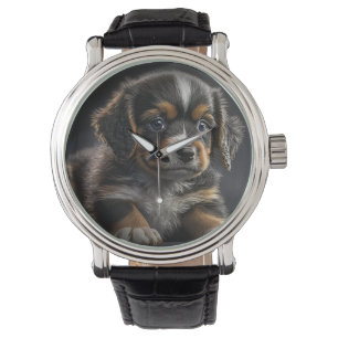Dog, Puppy,Pet Watch