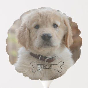 DOG PUPPY PHOTO NAME BONE BEST DOG MOM DAD TRENDY BALLOON