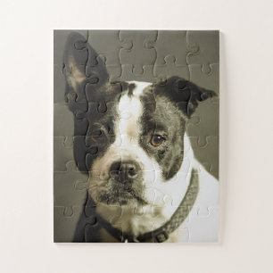 DOG PUZZLE, BLACK & WHITE DOG JIGSAW PUZZLE
