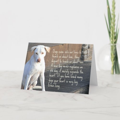 Dog Quotation Card