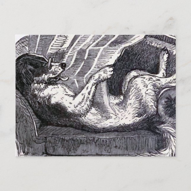 "Dog Reading Newspaper" Vintage Illustration Postcard (Front)