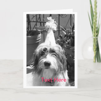 Dog Ready to Party Card