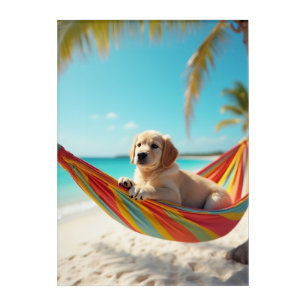 Dog Relaxing in Hammock Acrylic Print