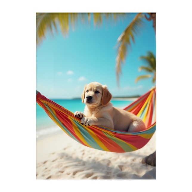 Dog Relaxing in Hammock Acrylic Print (Front)