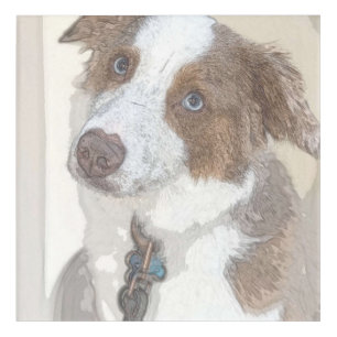 Dog, Rest, Pet Acrylic Print