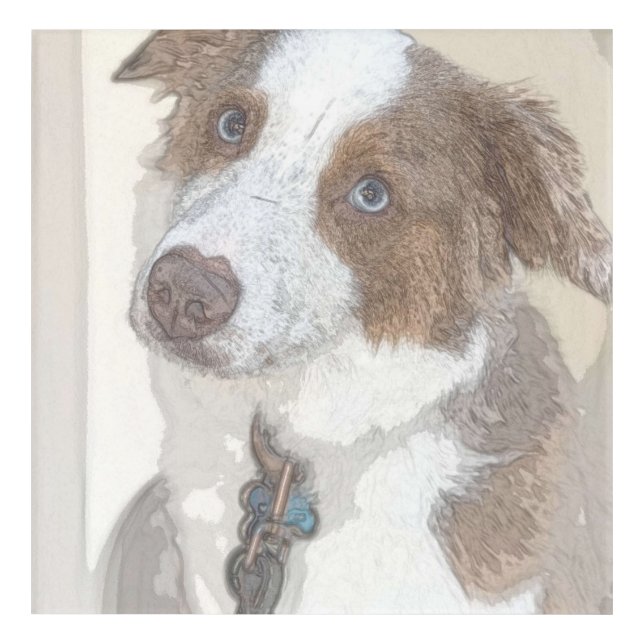 Dog, Rest, Pet Acrylic Print (Front)