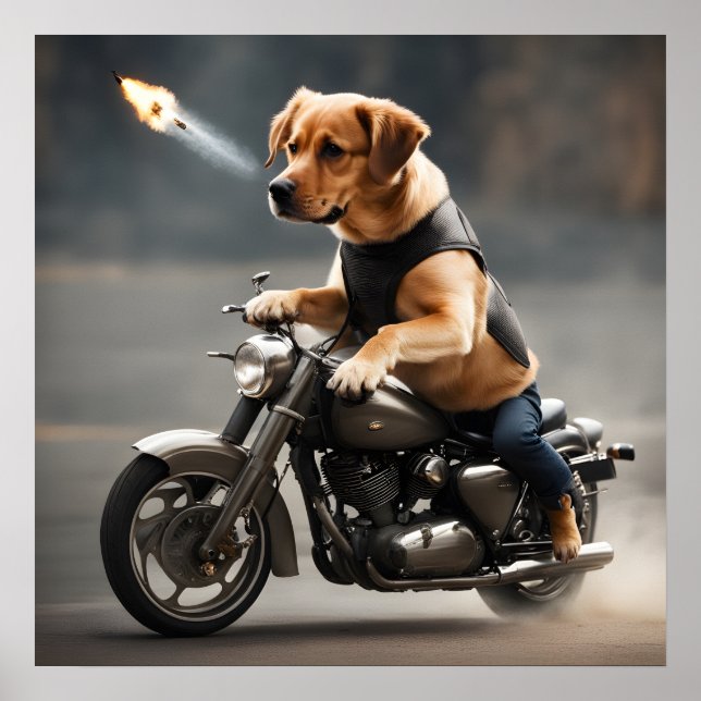 Dog Riding bike  Poster (Front)
