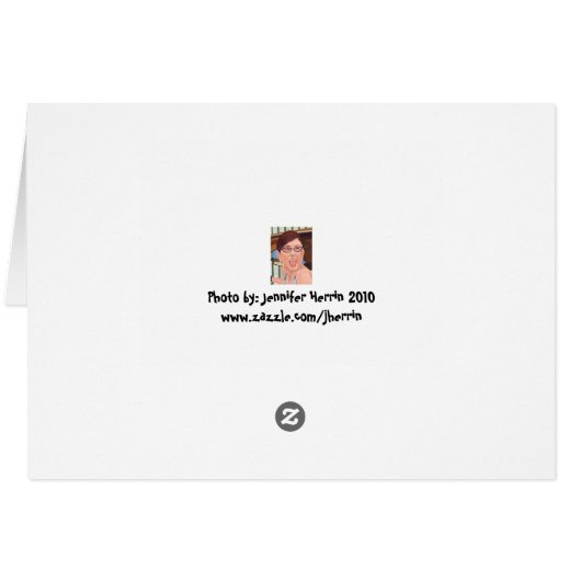 Dog rolling in grass (Back Horizontal)