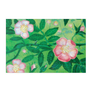Dog Rose (Rosa Canina) Acrylic Print
