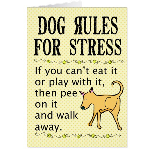 Dog Rules for Stress Cards (Front)