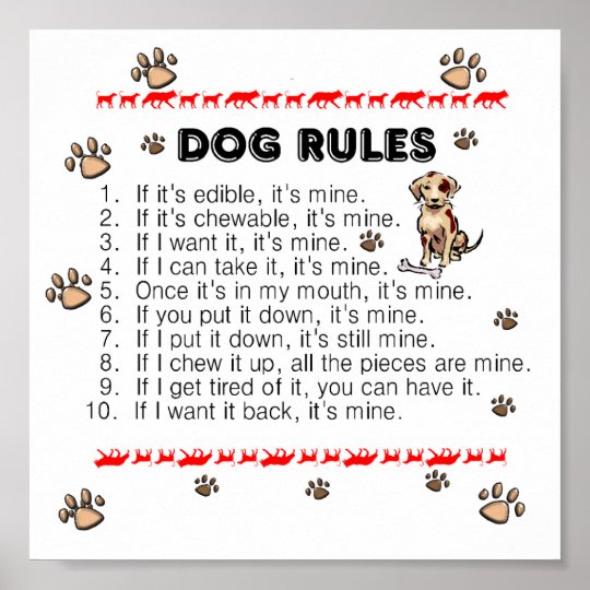 Dog Rules Poster