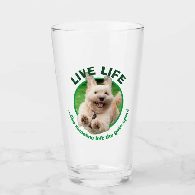 Dog Running In Yard Glass (Front)