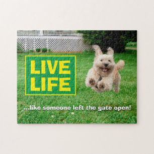 Dog Running In Yard Jigsaw Puzzle