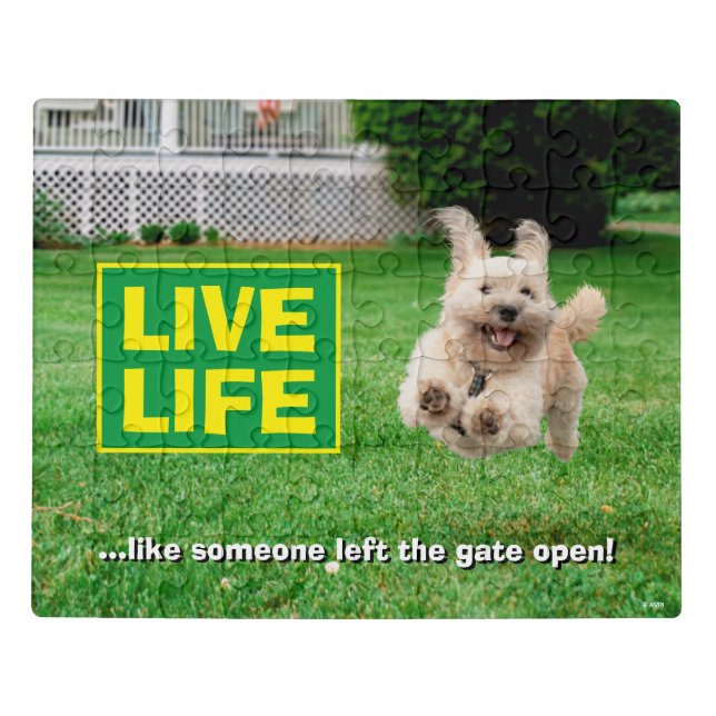 Dog Running In Yard Jigsaw Puzzle (Puzzle Horizontal)