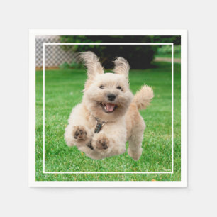 Dog Running In Yard Napkins