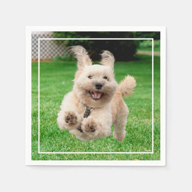 Dog Running In Yard Napkins (Front)
