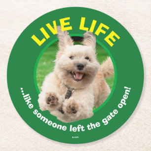 Dog Running In Yard Round Paper Coaster