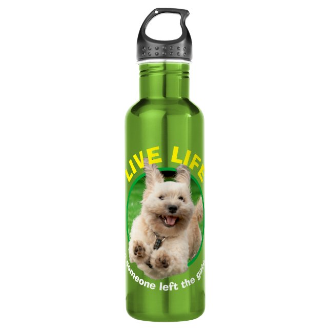 Dog Running In Yard Stainless Steel Water Bottle (Front)