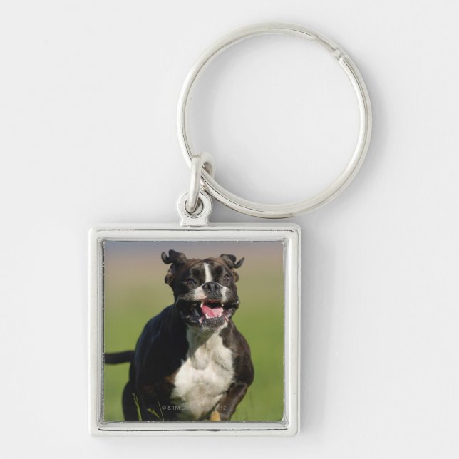 Dog Running Keychain (Front)