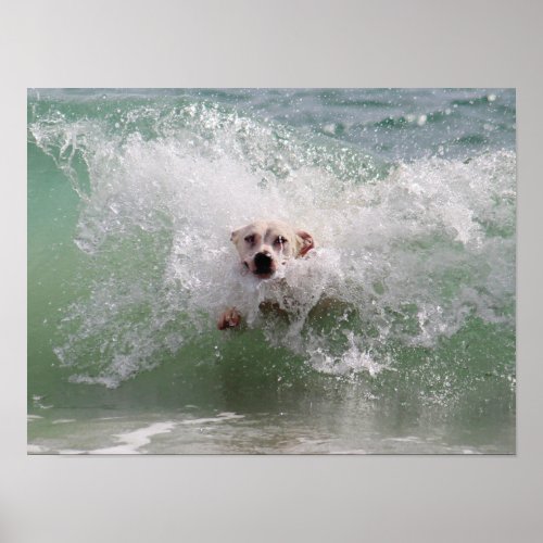 Dog Running through Ocean Wave Surf Beach Poster