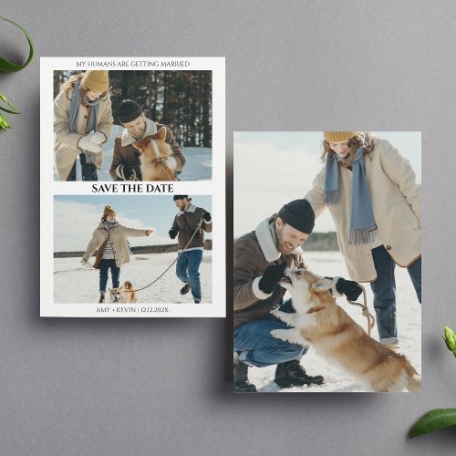 Dog Save the Date Humans Getting Married Wedding Invitation