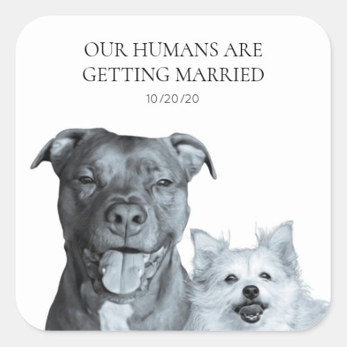 Dog Save the Date Stickers