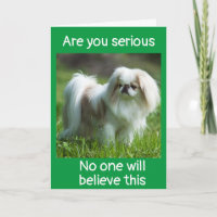 DOG SAYS *CONGRATULATIONS ON YOUR *PROMOTION*