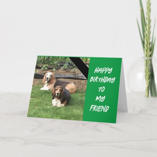 DOG SAYS GO OUT  CELEBRATE YOU  CARD