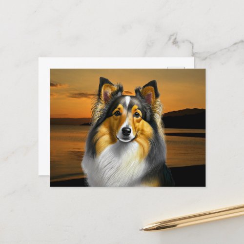Dog Sheltie Portrait Postcard