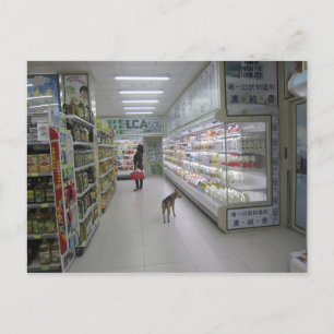 Dog shopping postcard