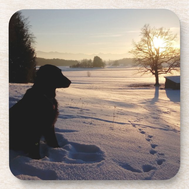 Dog Silhouette in Snowy Landscape Beverage Coaster (Front)