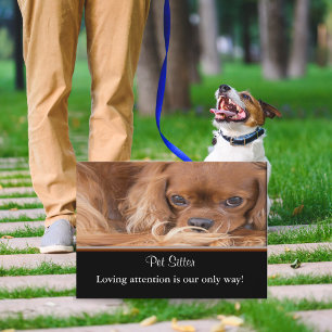 Dog Sitter Ruby Cavalier King Charles Spaniel Business Card