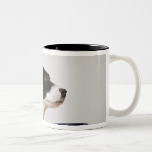 Dog sitting on a chair in front of a bowl on the Two_Tone coffee mug
